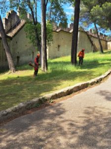 Débroussaillage Chateau de Beaucaire